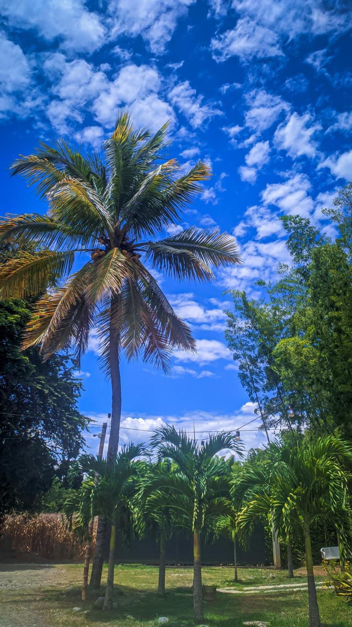 Hotel Campestre Campos Verdes Roldanillo Luaran gambar